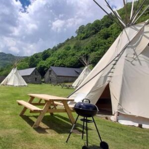tipi en pleine foret