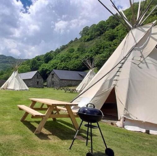 tipi en pleine foret